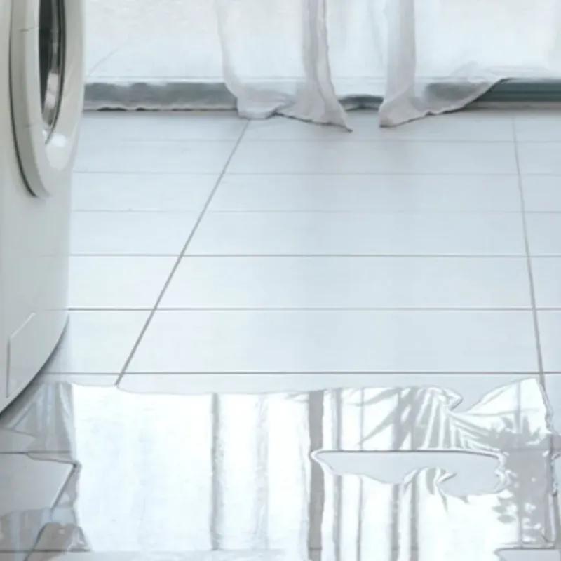 Appliance Leak Cleanup in Machias, ME