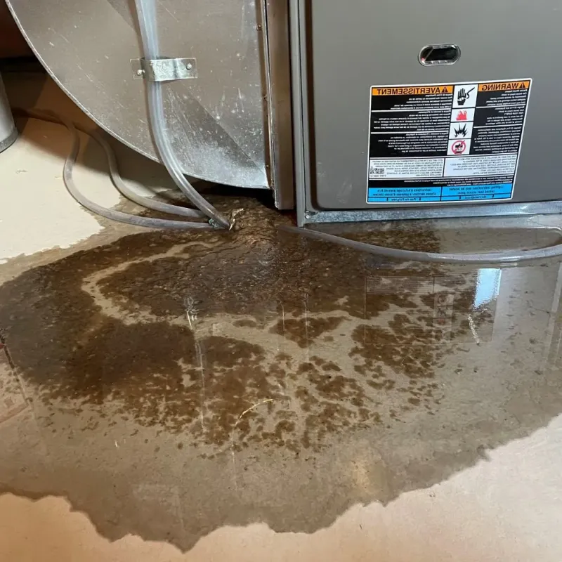 Pipe Burst and Leak Restoration in Machias, ME